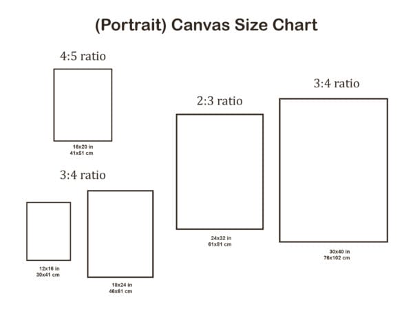 Max Verstappen canvas size chart